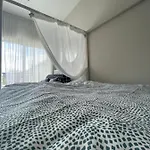 Mila Basen Sauna * Dziwnów