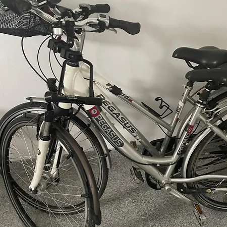 Mila Basen Sauna 아파트 *